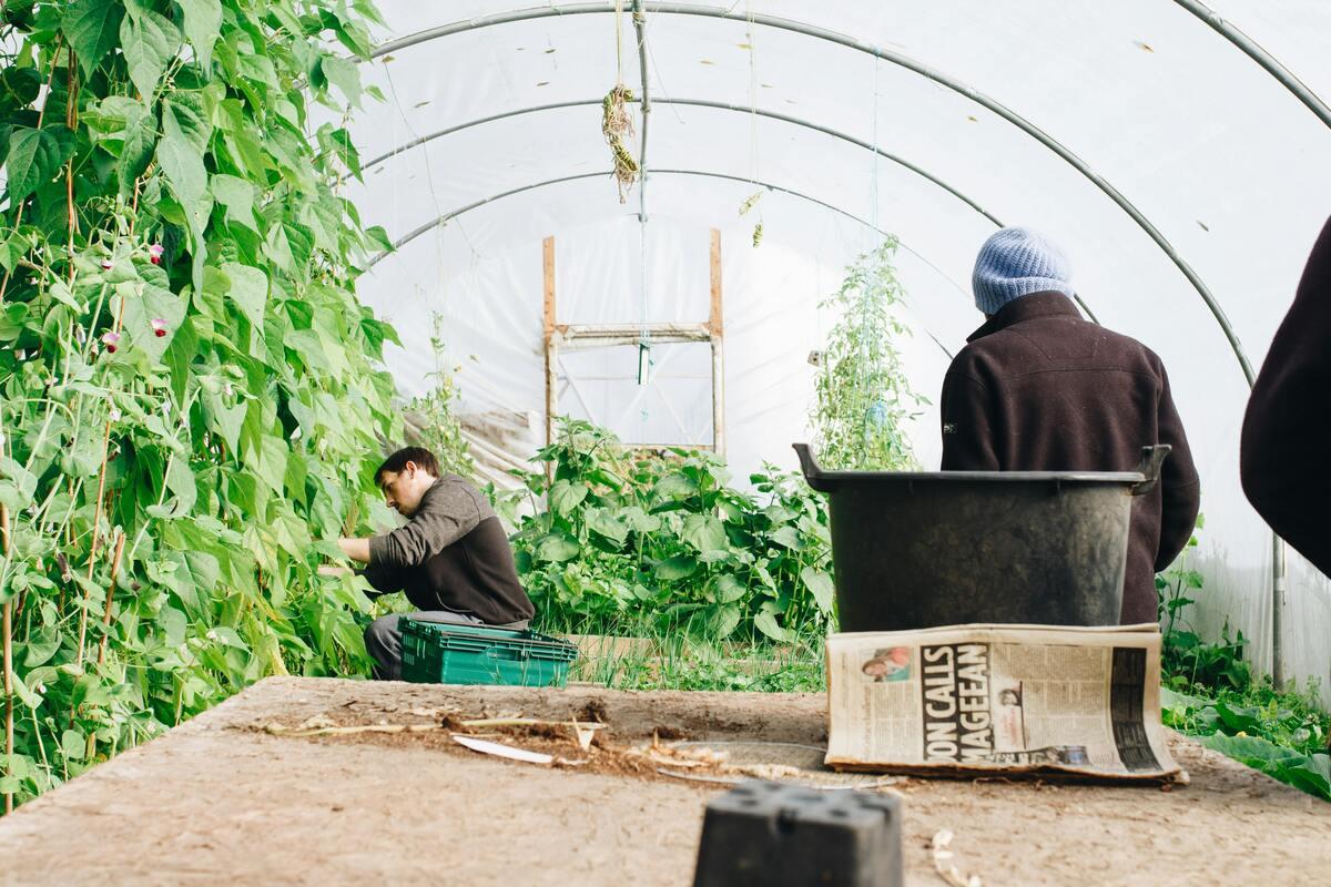 Chambre d’agriculture : organisation et missions