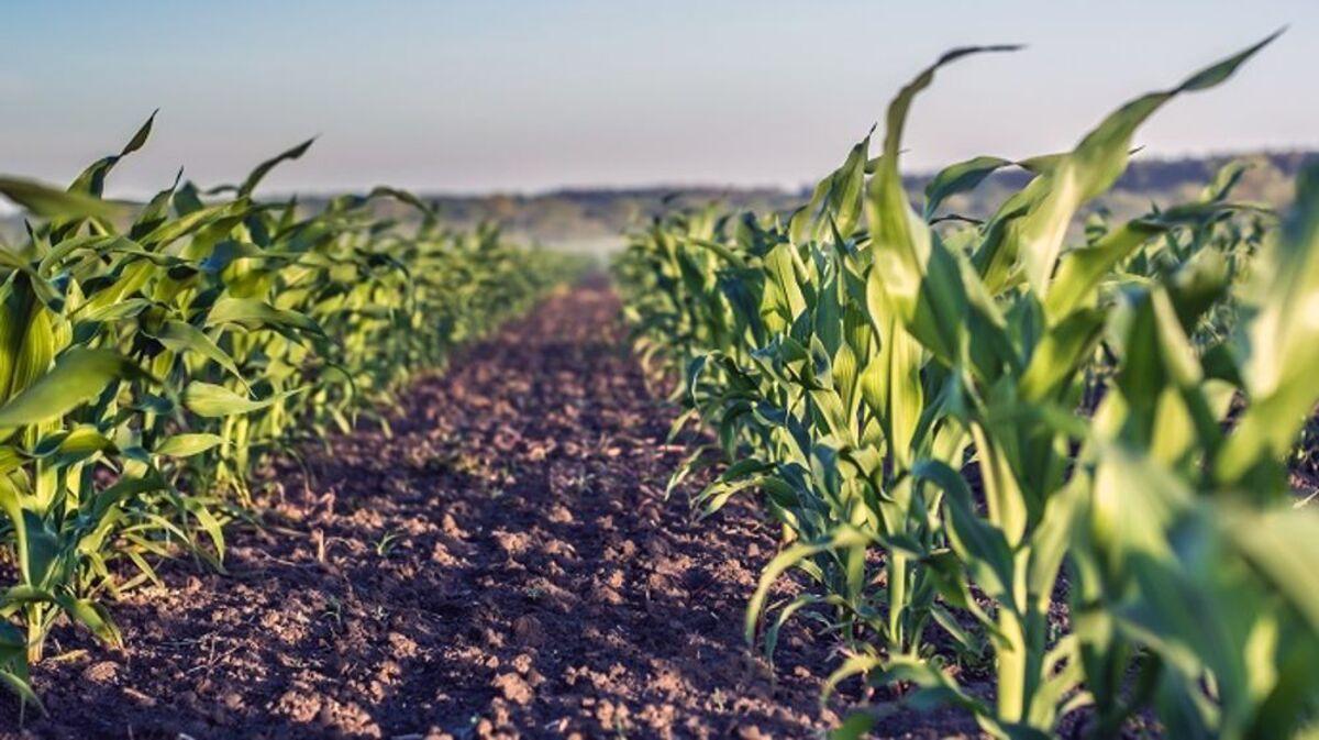 Gestion de l’eau : Elicit Plant se renforce avec une série B de 45 millions d’euros