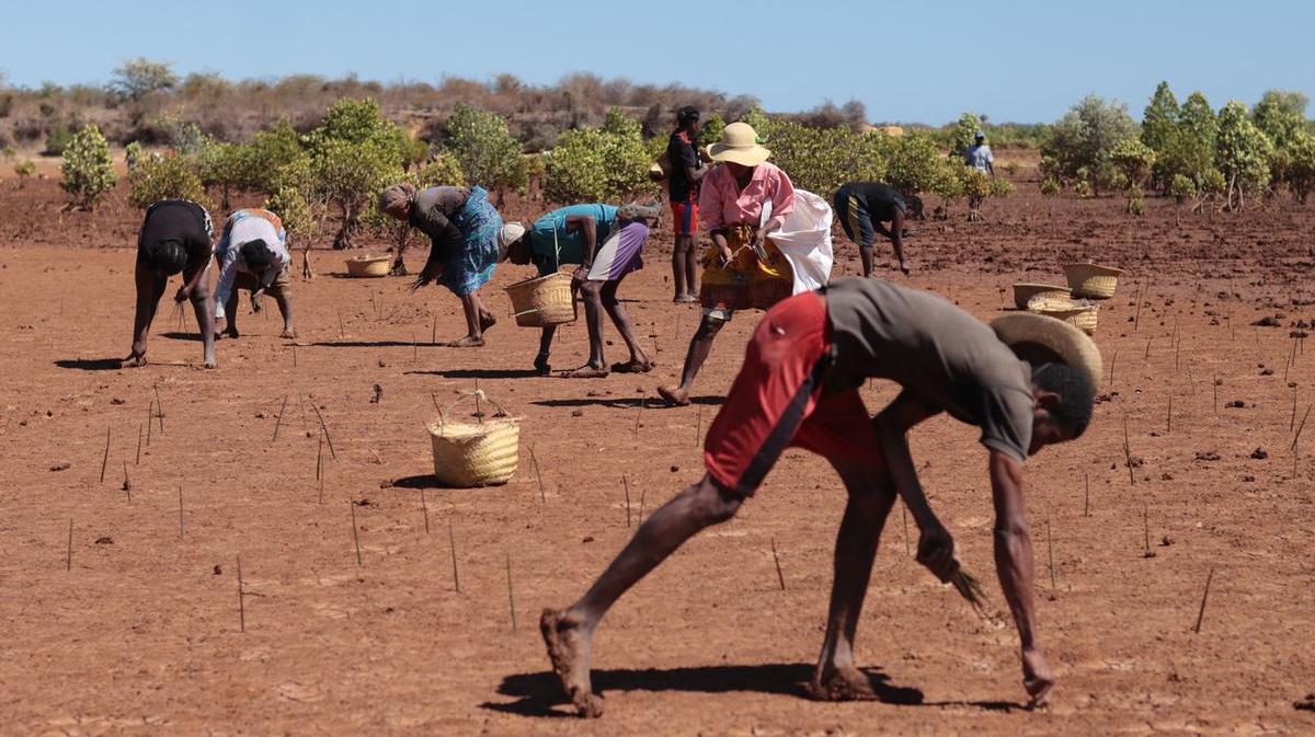 ERS (Ecosystem Restoration Standard) lève 5 millions d’euros pour accélérer la certification des projets carbone naturels
