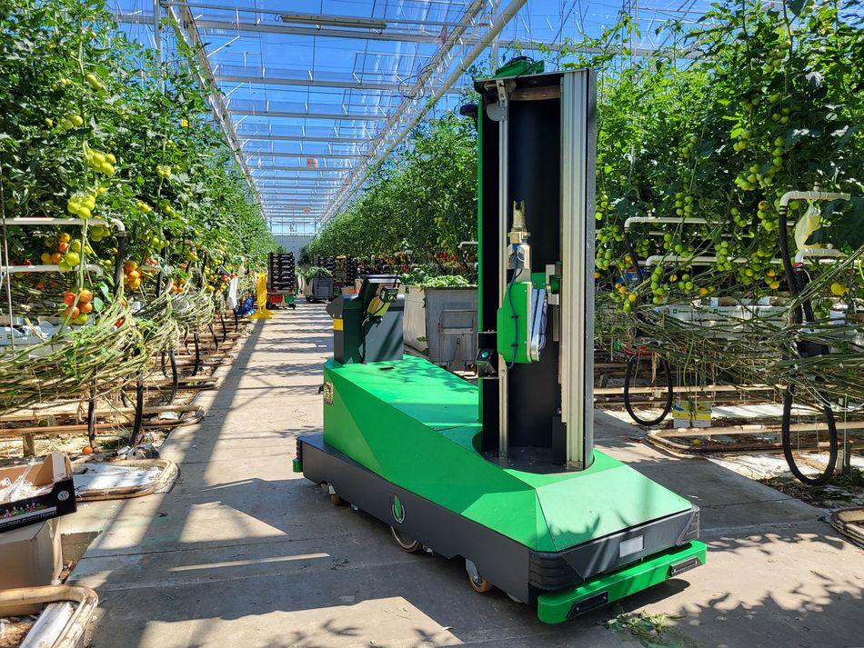 Aisprid et son robot lèvent 10 millions d’euros pour transformer la production de tomates