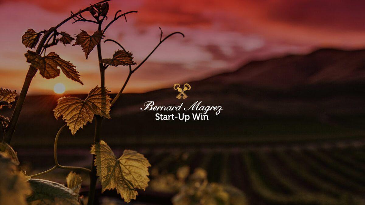 Winetech : l'incubateur Win lance un cinquième appel à projets