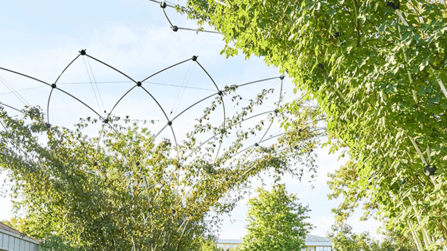 Urban Canopée lève 2,7 M€ pour végétaliser les villes