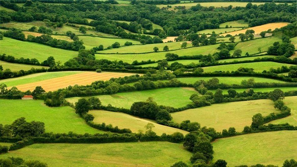 Engie s’engage à développer une filière bois-énergie durable avec Label Haie