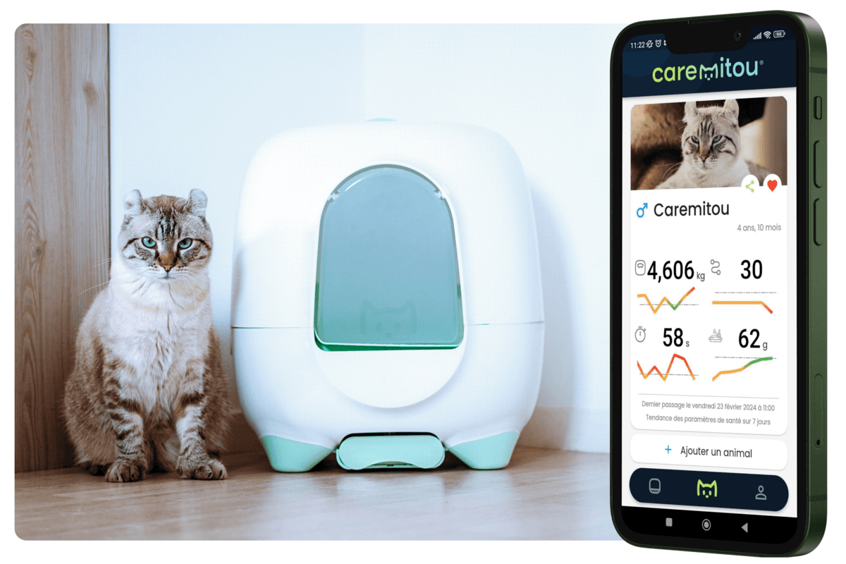 Invoxia rachète Caremitou pour révolutionner la santé animale