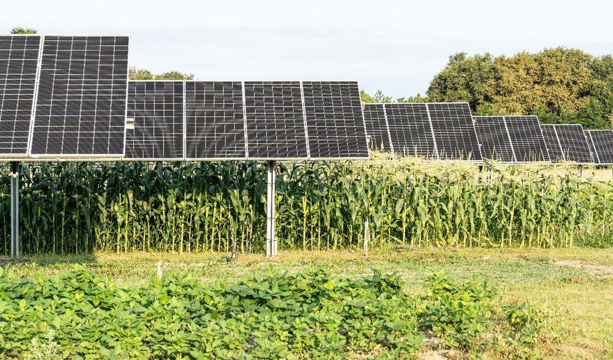 Agrivoltaïsme : GLHD reçoit l’aval de la préfecture des Landes